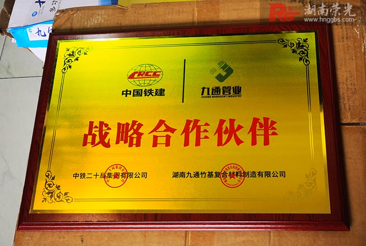 長沙獎牌